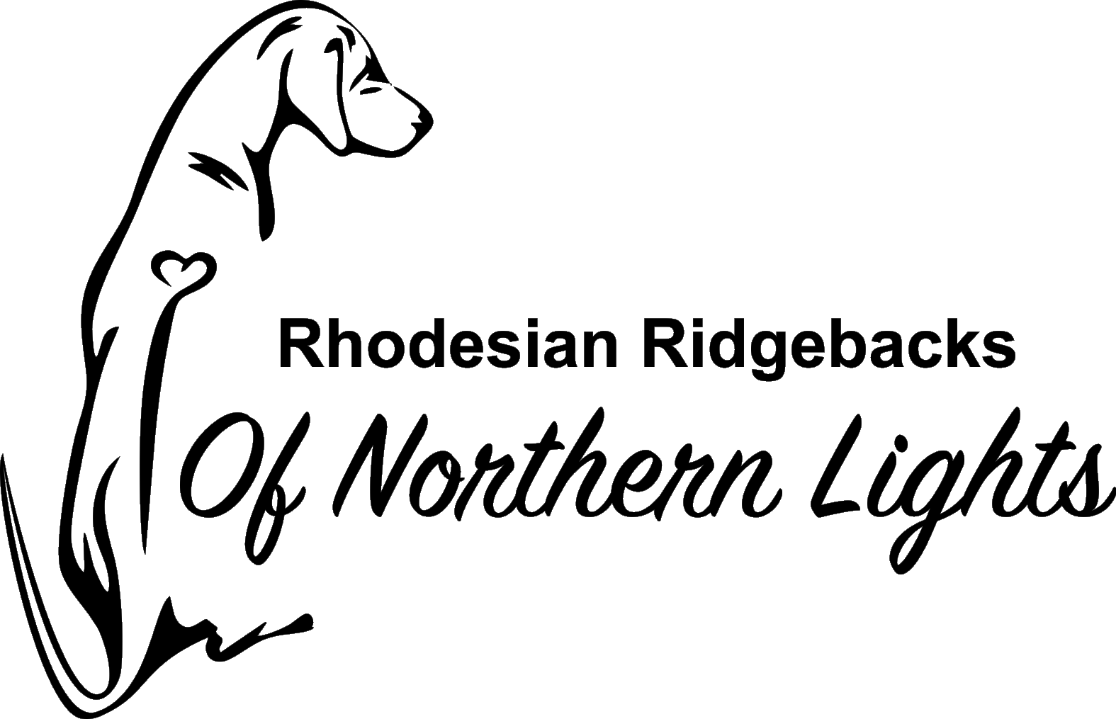 Of Northern Lights – Rhodesian Ridgebacks